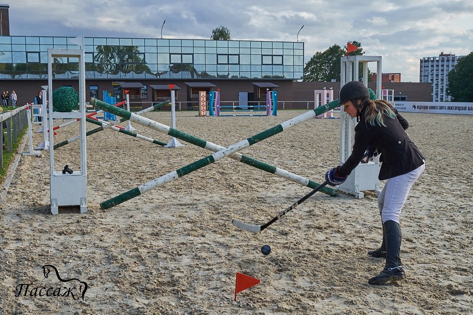 Лично-командный чемпионат и первенство Нижегородской области по конкуру 3 Лично-командный чемпионат и первенство Нижегородской области по конкуру 3