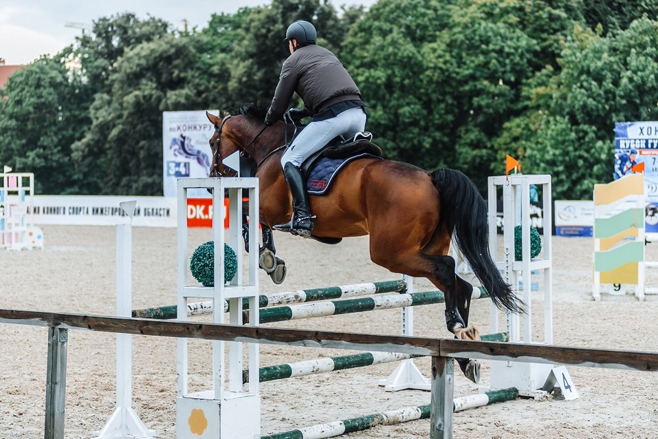 Лично-командный чемпионат и первенство Нижегородской области по конкуру 2 Лично-командный чемпионат и первенство Нижегородской области по конкуру 2