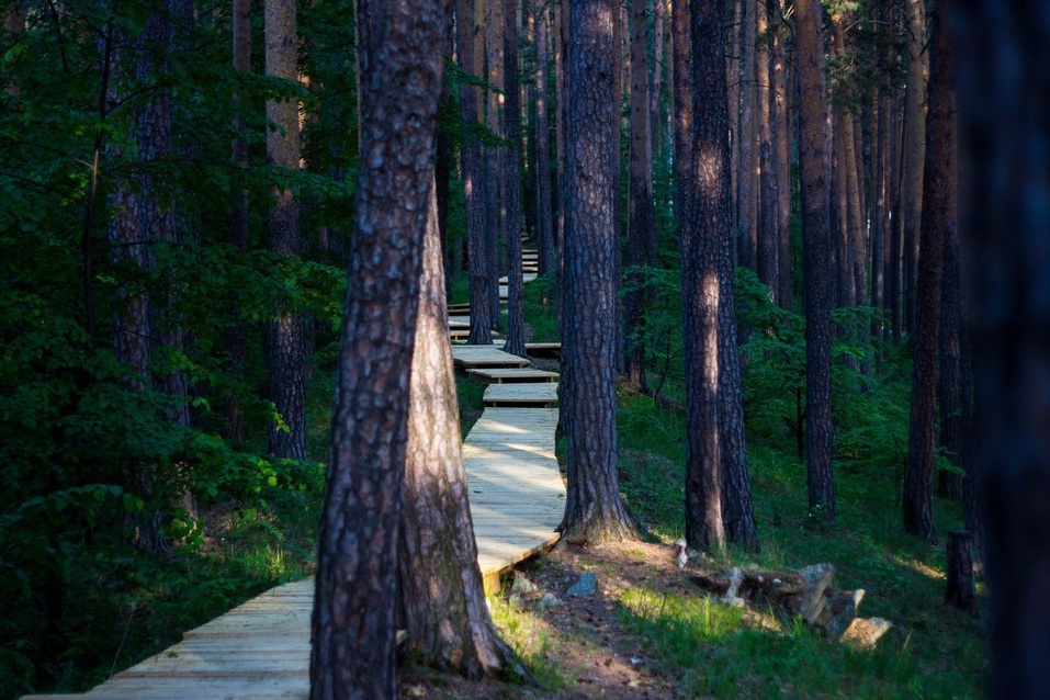 Природа? Инфраструктура? Сервис? Из чего складывается успех туристической отрасли? 10 Природа? Инфраструктура? Сервис? Из чего складывается успех туристической отрасли? 10