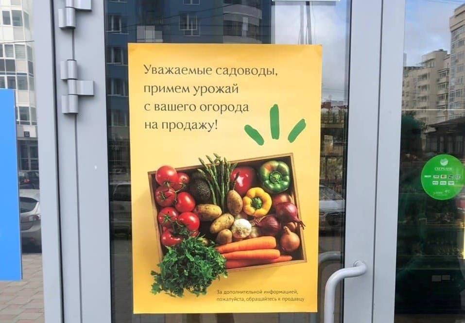 Объявление в «Жизньмарт» о приеме урожая на продажу Объявление в «Жизньмарт» о приеме урожая на продажу