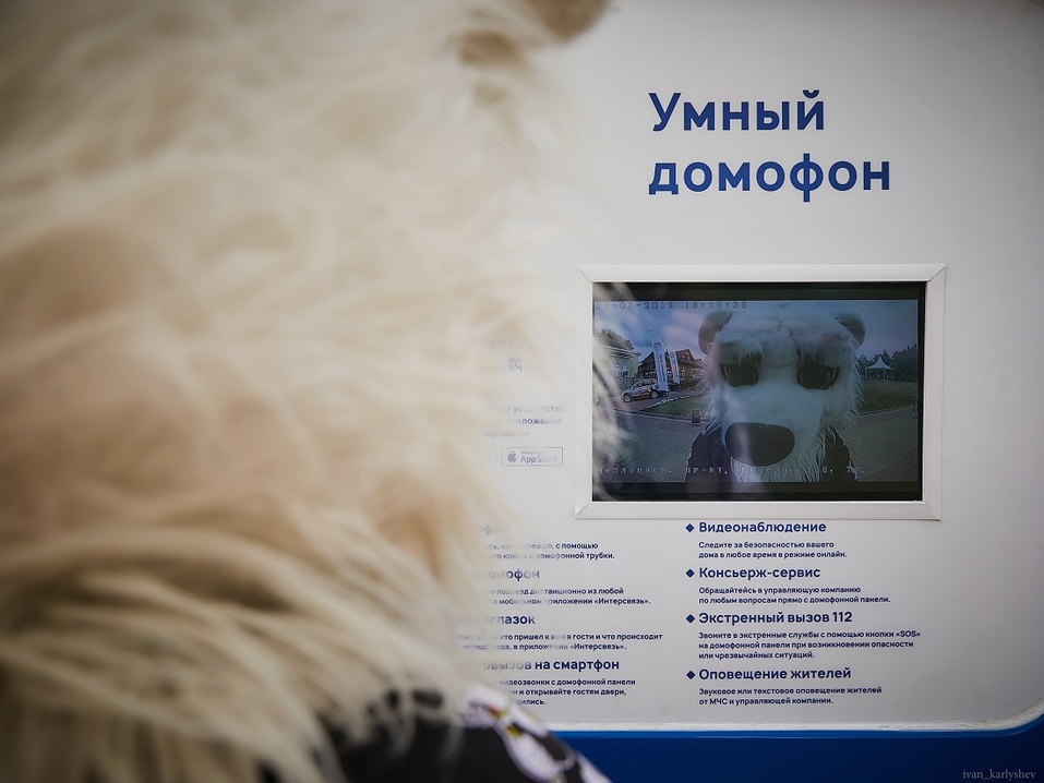 Отдых со вкусом: как челябинский бизнес проводил досуг на BUSINESS RESIDENCE-2019? 20 Отдых со вкусом: как челябинский бизнес проводил досуг на BUSINESS RESIDENCE-2019? 20