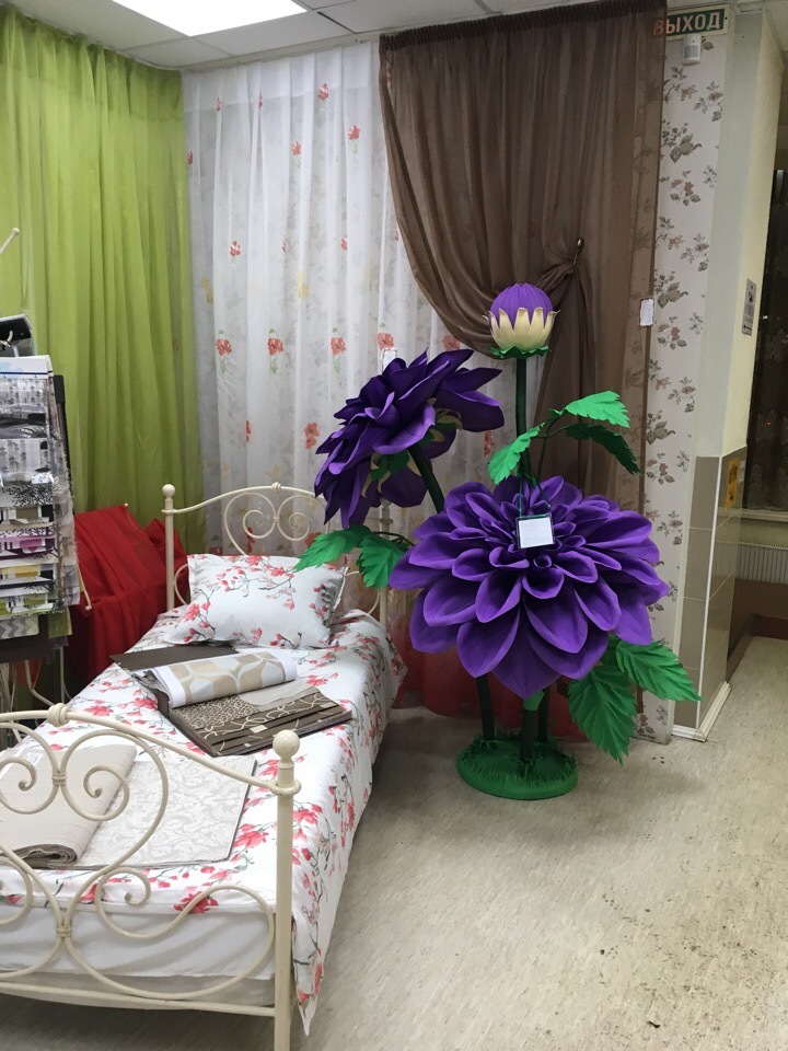 «Magic Flora»: от хобби к семейному бизнесу 14 «Magic Flora»: от хобби к семейному бизнесу 14