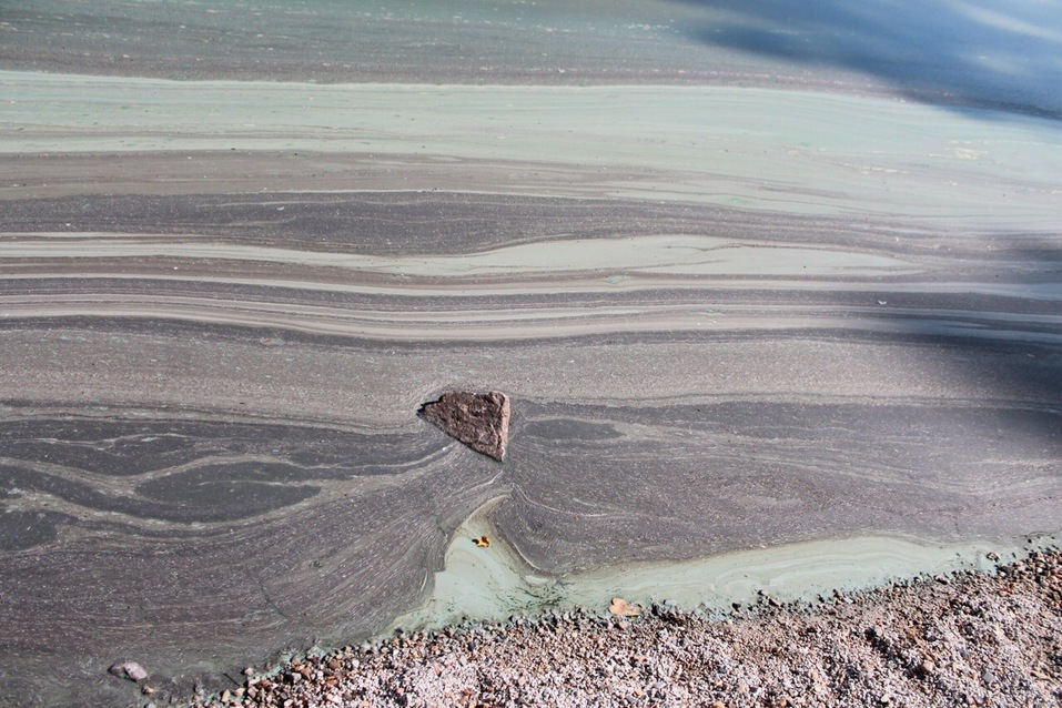 «Превращается в болото». Южноуральцев напугали круги на Тургояке 2 «Превращается в болото». Южноуральцев напугали круги на Тургояке 2