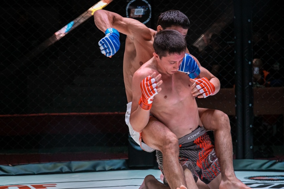 8 сентября прошел очередной турнир по ММА «Hall of Fame» в Новосибирске 9 8 сентября прошел очередной турнир по ММА «Hall of Fame» в Новосибирске 9