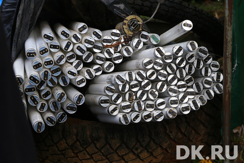 Эко-квест, пикник и отдых. Как прошел Всемирный день чистоты? Фоторепортаж 10 Эко-квест, пикник и отдых. Как прошел Всемирный день чистоты? Фоторепортаж 10