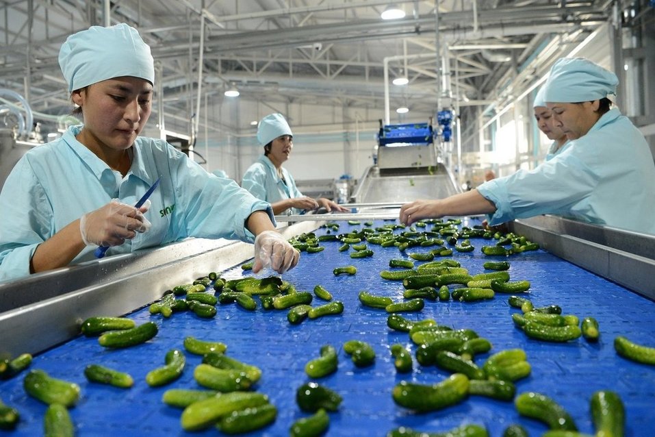 Бизнес по-соседски: за счёт чего растёт товарооборот между Южным Уралом и Казахстаном? 5 Бизнес по-соседски: за счёт чего растёт товарооборот между Южным Уралом и Казахстаном? 5