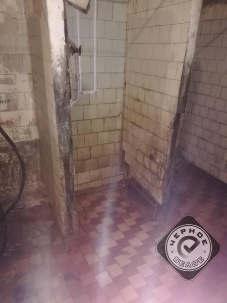 «Надо расстрелять, скормить собакам, отрубить руки и уши». 270 рабочих сидят без зарплаты 1 «Надо расстрелять, скормить собакам, отрубить руки и уши». 270 рабочих сидят без зарплаты 1