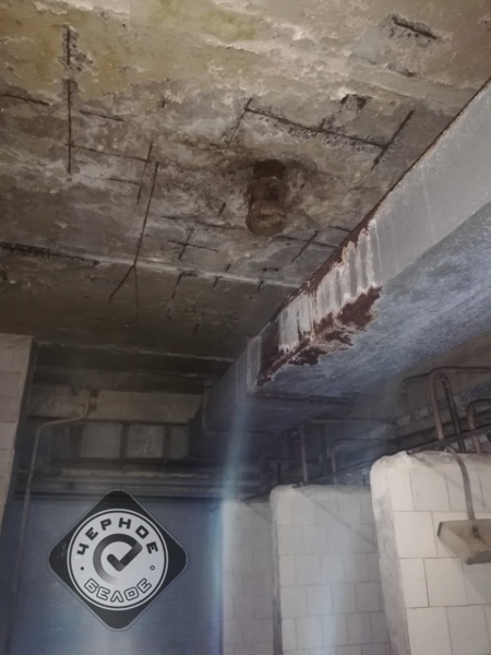 «Надо расстрелять, скормить собакам, отрубить руки и уши». 270 рабочих сидят без зарплаты 2 «Надо расстрелять, скормить собакам, отрубить руки и уши». 270 рабочих сидят без зарплаты 2