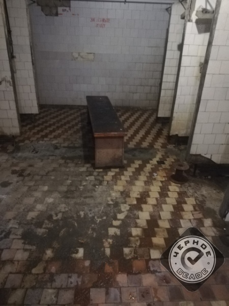 «Надо расстрелять, скормить собакам, отрубить руки и уши». 270 рабочих сидят без зарплаты 3 «Надо расстрелять, скормить собакам, отрубить руки и уши». 270 рабочих сидят без зарплаты 3