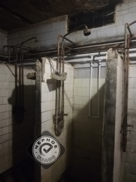 «Надо расстрелять, скормить собакам, отрубить руки и уши». 270 рабочих сидят без зарплаты 4 «Надо расстрелять, скормить собакам, отрубить руки и уши». 270 рабочих сидят без зарплаты 4