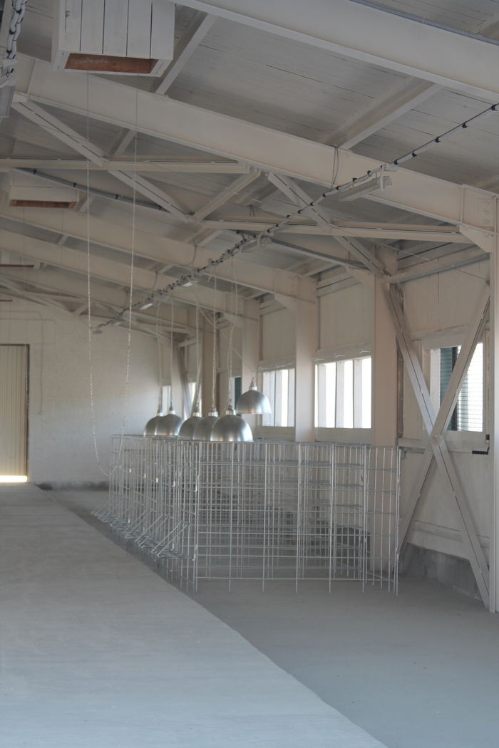 Все по науке: голштинские коровы из «Толмачевского» дадут шоколадный творог 3 Все по науке: голштинские коровы из «Толмачевского» дадут шоколадный творог 3