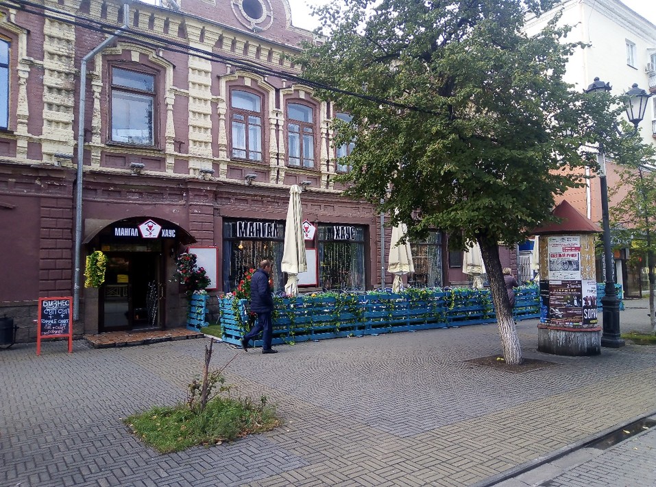 На Кировке таинственно исчезают деревья, а вместо них остаются пни 4 На Кировке таинственно исчезают деревья, а вместо них остаются пни 4