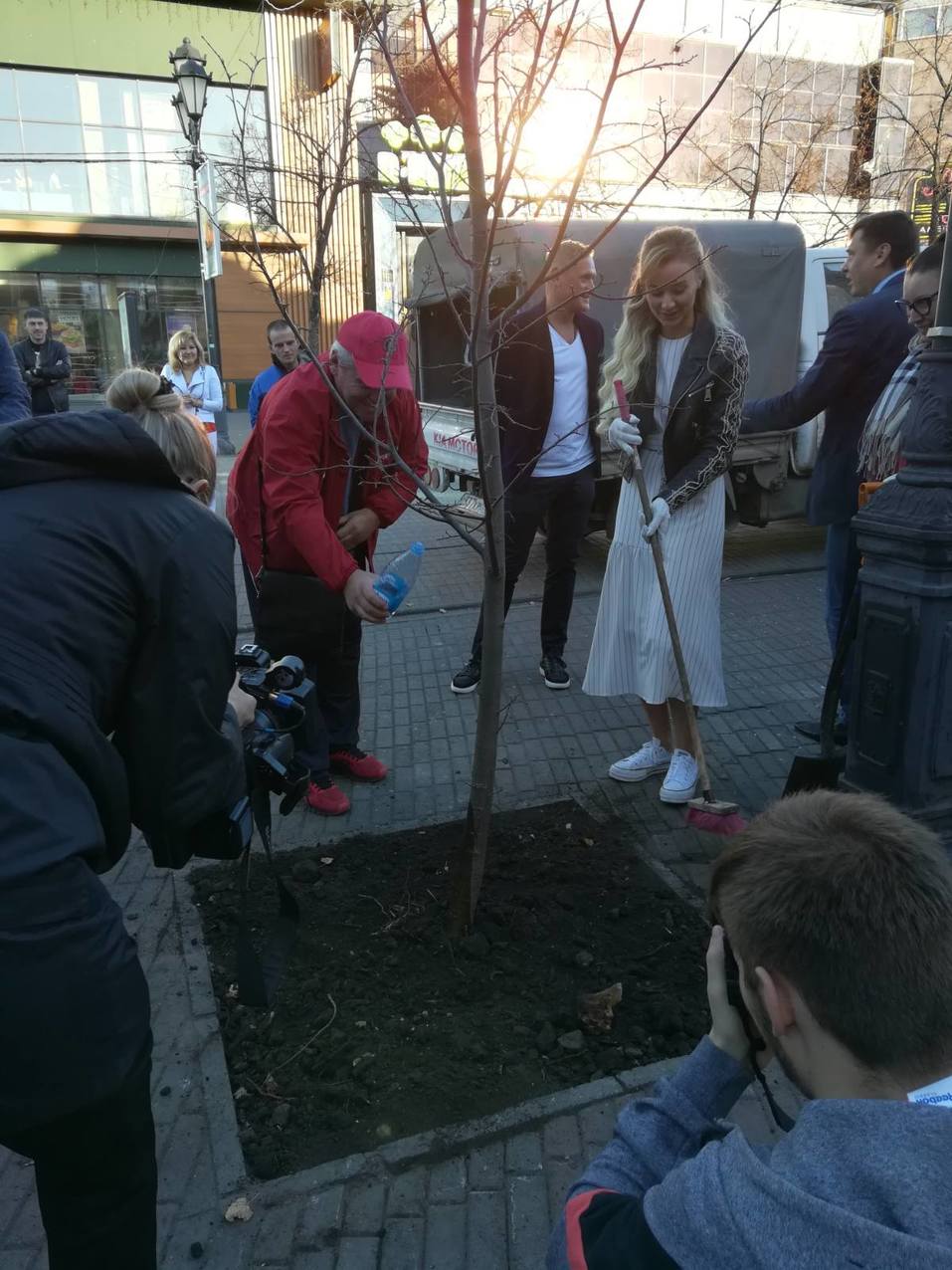 Таинственное исчезновение деревьев на Кировке раскрылось 2 Таинственное исчезновение деревьев на Кировке раскрылось 2