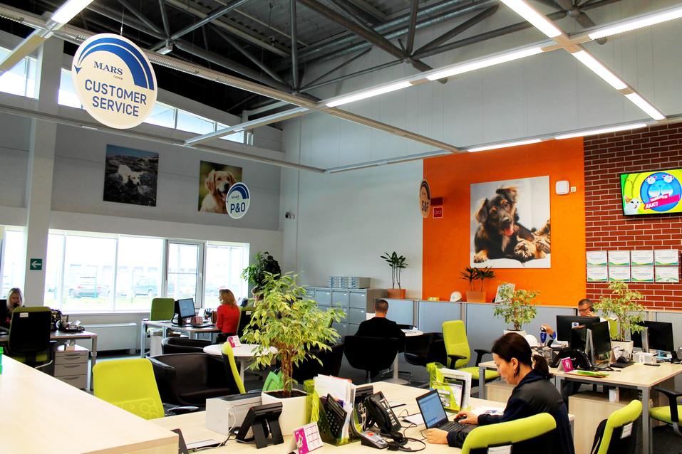 Собакам вход разрешен. Опыт создания pet-friendly офиса компании Mars в Новосибирске 4 Собакам вход разрешен. Опыт создания pet-friendly офиса компании Mars в Новосибирске 4