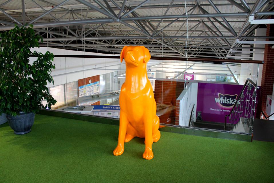 Собакам вход разрешен. Опыт создания pet-friendly офиса компании Mars в Новосибирске 9 Собакам вход разрешен. Опыт создания pet-friendly офиса компании Mars в Новосибирске 9
