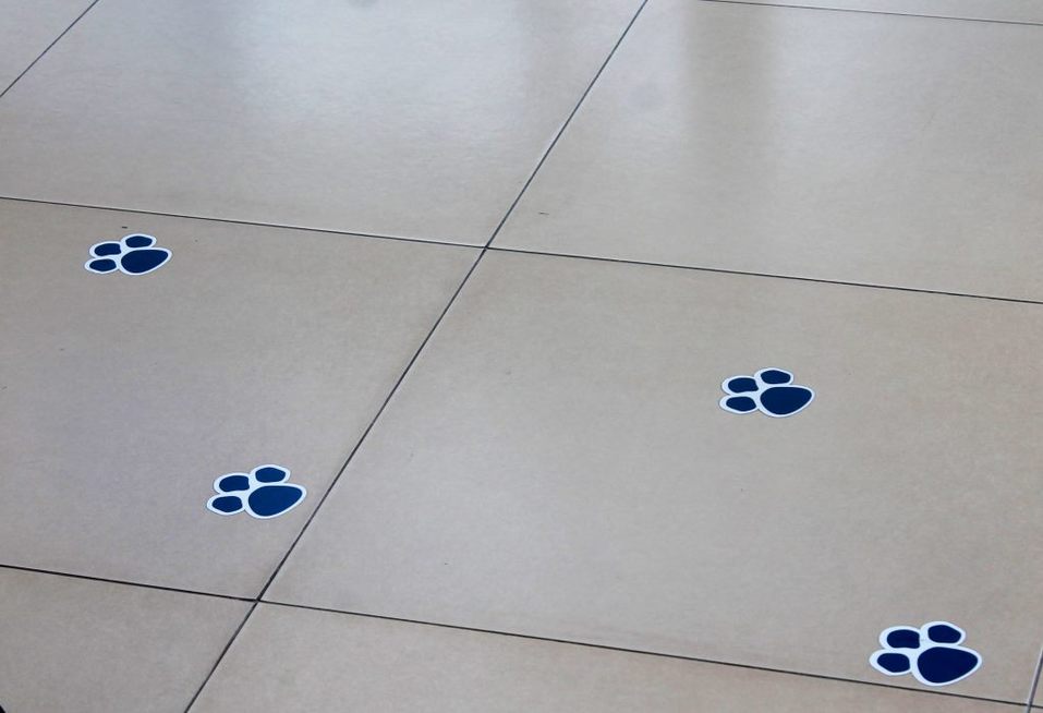 Собакам вход разрешен. Опыт создания pet-friendly офиса компании Mars в Новосибирске 10 Собакам вход разрешен. Опыт создания pet-friendly офиса компании Mars в Новосибирске 10