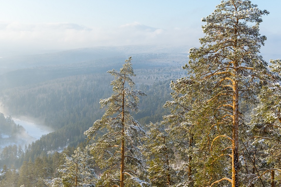 Центр активного отдыха «Евразия» открывает горнолыжный сезон с обновлениями 8 Центр активного отдыха «Евразия» открывает горнолыжный сезон с обновлениями 8