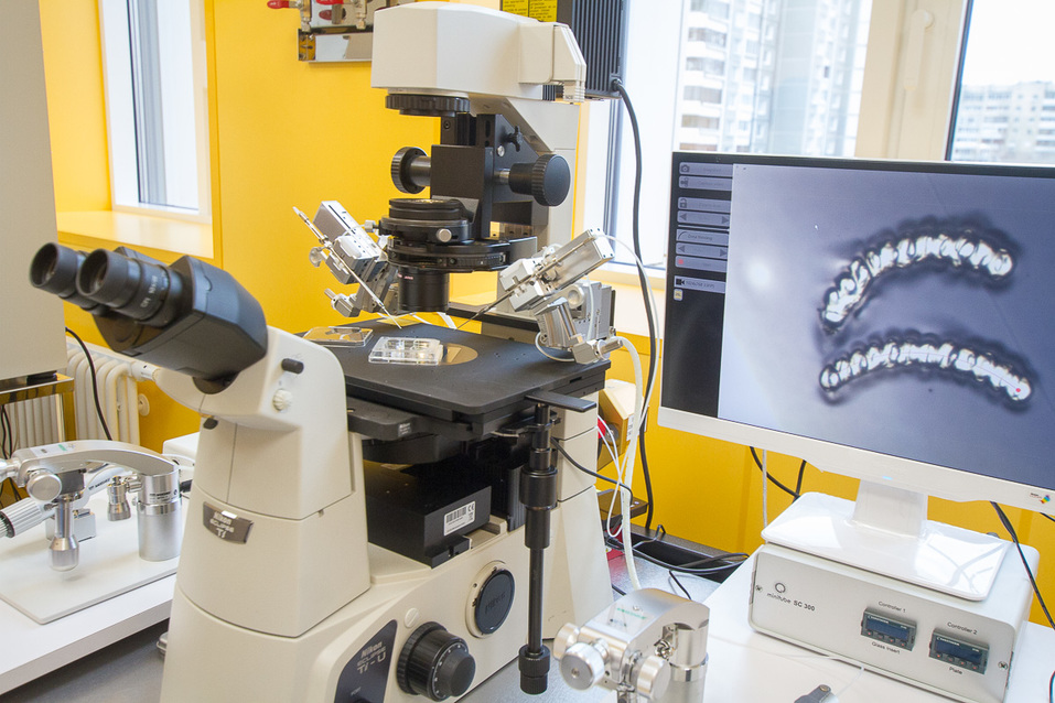 Гуляем по новой клинике «УГМК-Здоровье» за 10 млрд руб. / ФОТОРЕПОРТАЖ 20 Гуляем по новой клинике «УГМК-Здоровье» за 10 млрд руб. / ФОТОРЕПОРТАЖ 20