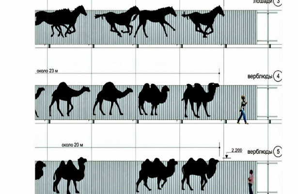 Верблюды и кони: в Челябинске за 215 млн устанавливают защитные экраны с рисунками 1 Верблюды и кони: в Челябинске за 215 млн устанавливают защитные экраны с рисунками 1