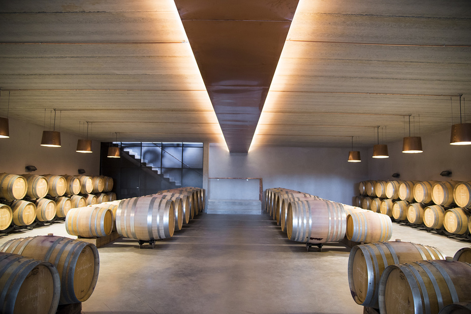 Сын миллиардера Дмитрия Пумпянского рассказал о семейной винодельне во Франции 3 Сын миллиардера Дмитрия Пумпянского рассказал о семейной винодельне во Франции 3