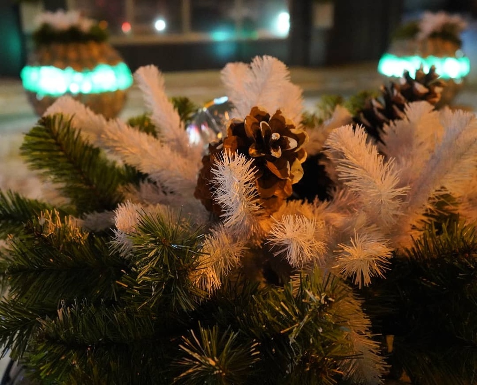 В Советском районе Красноярска установили новые арт-объекты 2 В Советском районе Красноярска установили новые арт-объекты 2