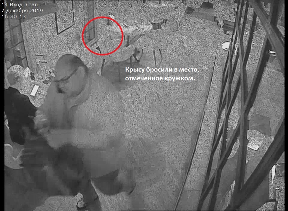 Новый метод конкурентов? Нижегородский ресторан утверждает, что им в зал подкинули крысу 2 Новый метод конкурентов? Нижегородский ресторан утверждает, что им в зал подкинули крысу 2