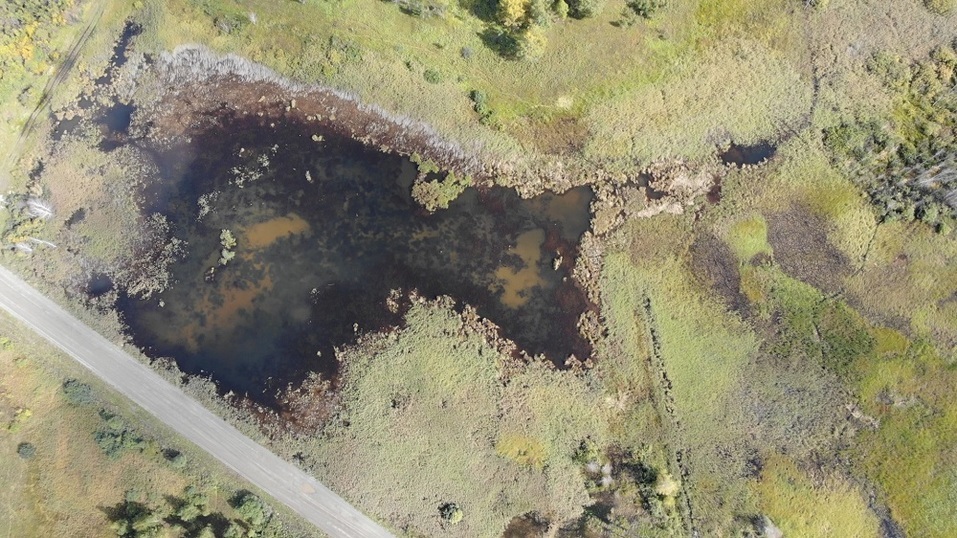 На Южном Урале куриному агрохолдингу пришлось выплатить 18 млн за выбросы помёта в полях 1 На Южном Урале куриному агрохолдингу пришлось выплатить 18 млн за выбросы помёта в полях 1