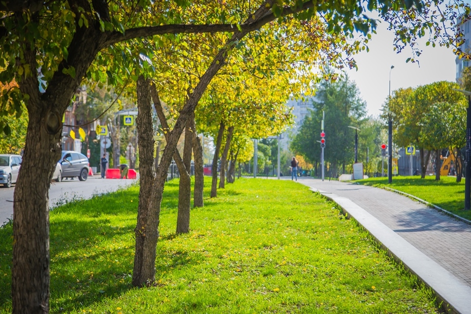 Зеленый каркас Втузгородка Зеленый каркас Втузгородка