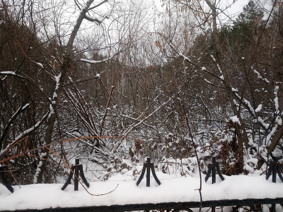 «Вопрос решали втихаря». Как в Челябинске развивается скандал вокруг больницы в бору 4 «Вопрос решали втихаря». Как в Челябинске развивается скандал вокруг больницы в бору 4