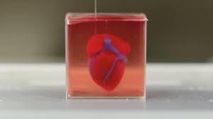 Миниатюрное сердце, напечатанное на 3D-принтере в Израиле. Фото ТАСС/Reuters