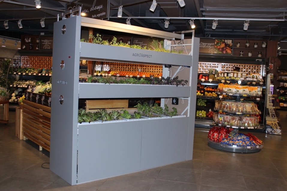 Будущее наступило: продукты будут выращивать прямо в магазине. Первый опыт в Екатеринбурге 3 Будущее наступило: продукты будут выращивать прямо в магазине. Первый опыт в Екатеринбурге 3