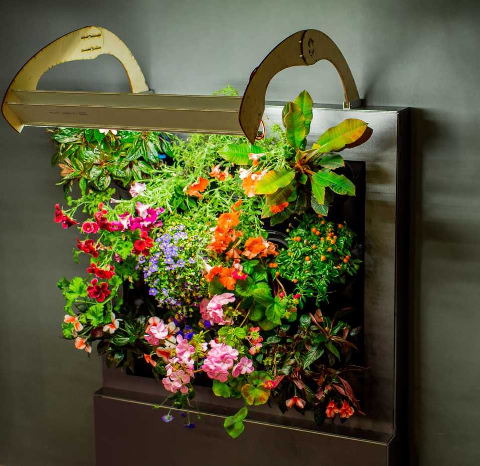 Будущее наступило: продукты будут выращивать прямо в магазине. Первый опыт в Екатеринбурге 9 Будущее наступило: продукты будут выращивать прямо в магазине. Первый опыт в Екатеринбурге 9