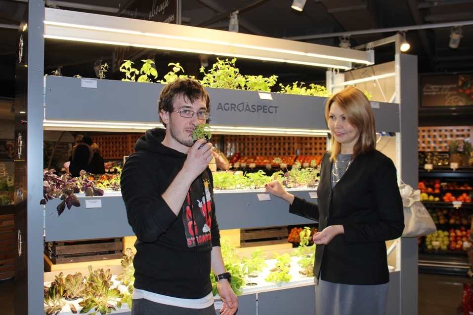 Будущее наступило: продукты будут выращивать прямо в магазине. Первый опыт в Екатеринбурге 10 Будущее наступило: продукты будут выращивать прямо в магазине. Первый опыт в Екатеринбурге 10