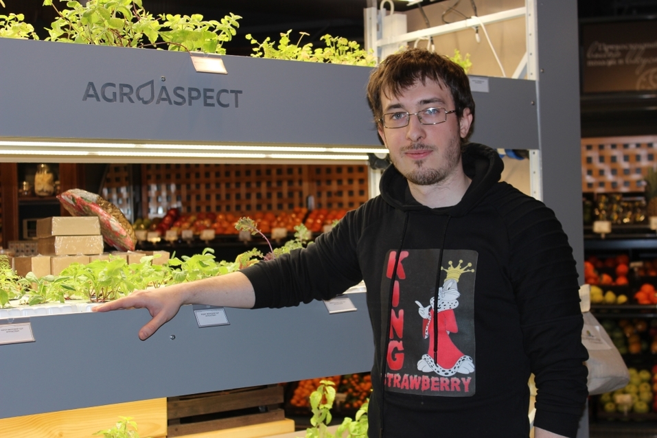 Будущее наступило: продукты будут выращивать прямо в магазине. Первый опыт в Екатеринбурге 2 Будущее наступило: продукты будут выращивать прямо в магазине. Первый опыт в Екатеринбурге 2