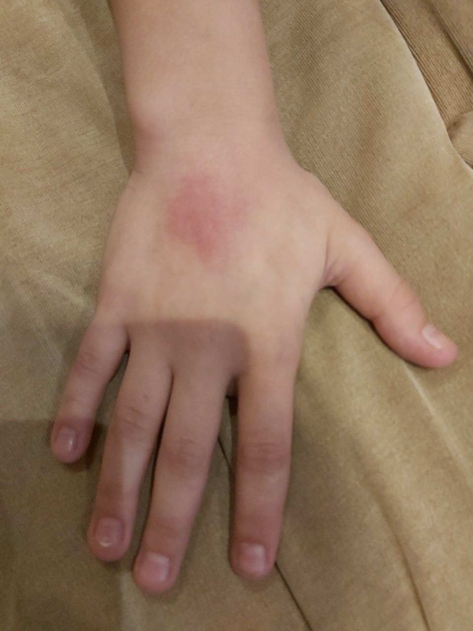 СК разбирается. В Нижнем Новгороде школьник пожаловался на побои от учителя 1 СК разбирается. В Нижнем Новгороде школьник пожаловался на побои от учителя 1