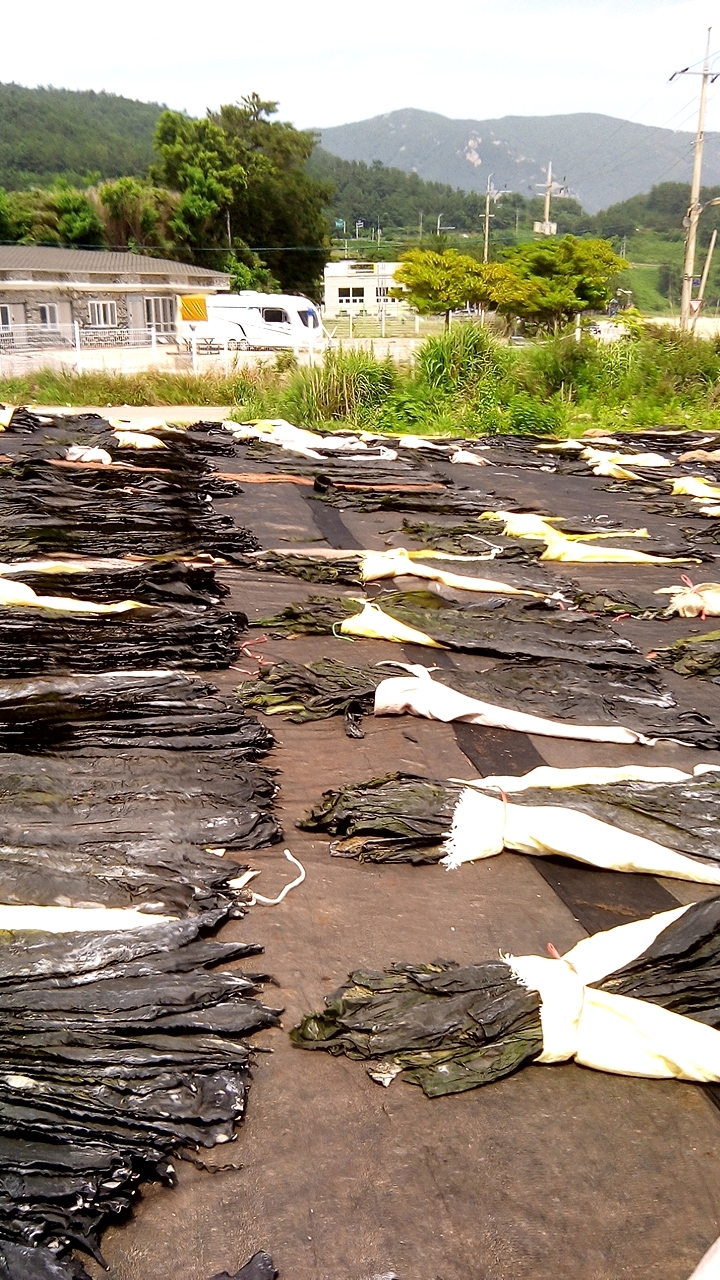 Korea Siberia Group: «Берем все ваши риски на себя» 4 Korea Siberia Group: «Берем все ваши риски на себя» 4