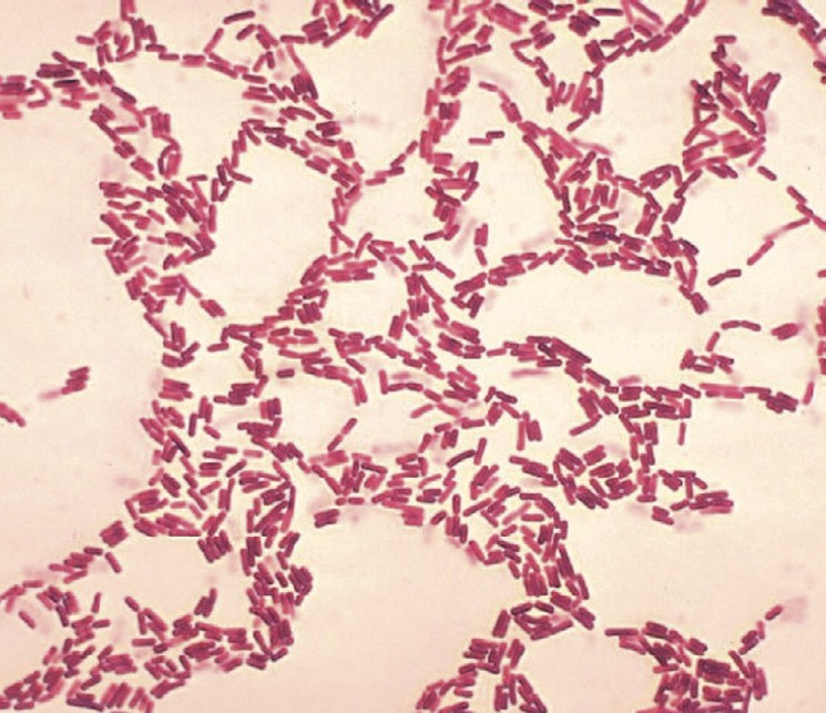 Тренды ресторанного рынка на 2020 год 6 Тренды ресторанного рынка на 2020 год 6
