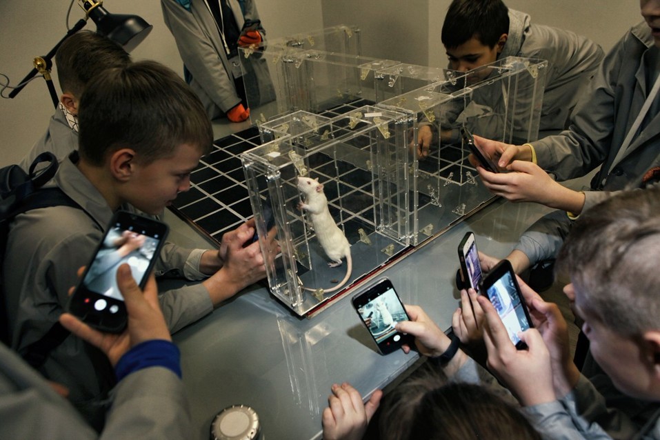 «В регионах наша задача — объяснить, что мы тут такое делаем». Как заработать на науке 3 «В регионах наша задача — объяснить, что мы тут такое делаем». Как заработать на науке 3