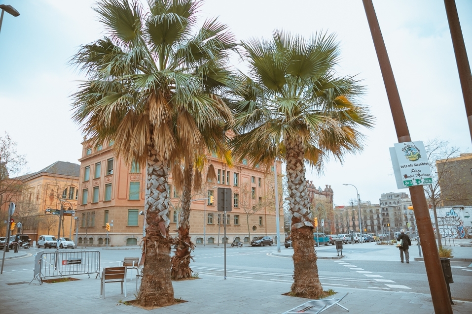 «Напоминает зомби-апокалипсис. А ведь еще четыре дня назад все шутили и постили мемы» 1 «Напоминает зомби-апокалипсис. А ведь еще четыре дня назад все шутили и постили мемы» 1