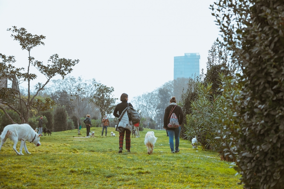 «Напоминает зомби-апокалипсис. А ведь еще четыре дня назад все шутили и постили мемы» 8 «Напоминает зомби-апокалипсис. А ведь еще четыре дня назад все шутили и постили мемы» 8