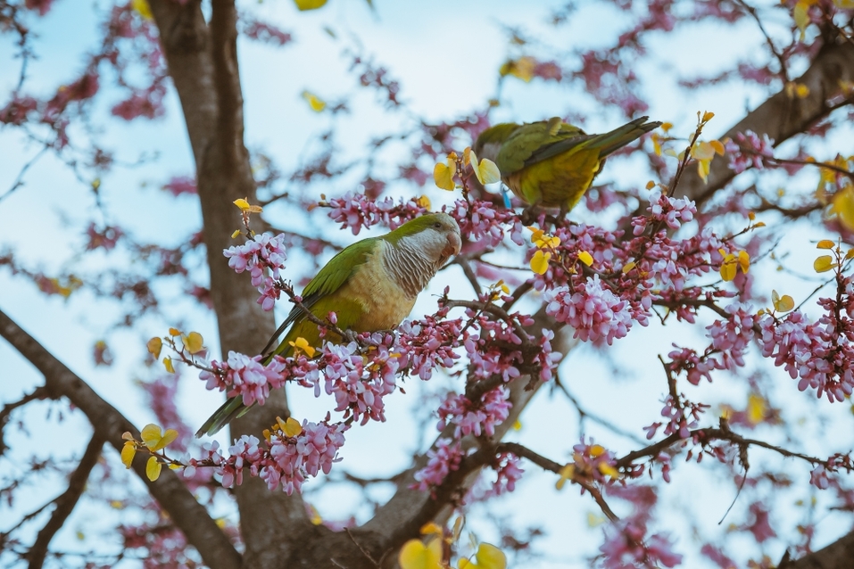 «Напоминает зомби-апокалипсис. А ведь еще четыре дня назад все шутили и постили мемы» 10 «Напоминает зомби-апокалипсис. А ведь еще четыре дня назад все шутили и постили мемы» 10