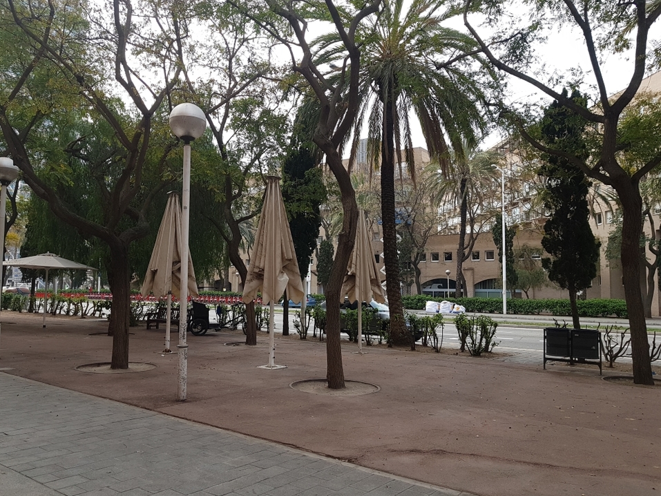 «Напоминает зомби-апокалипсис. А ведь еще четыре дня назад все шутили и постили мемы» 13 «Напоминает зомби-апокалипсис. А ведь еще четыре дня назад все шутили и постили мемы» 13