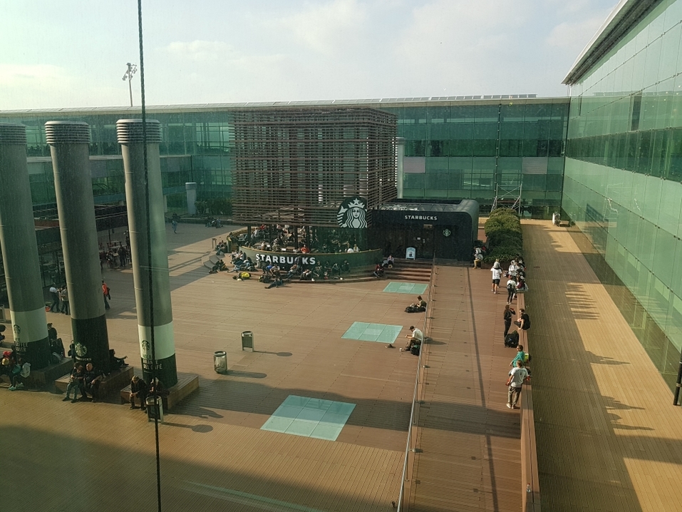 «Напоминает зомби-апокалипсис. А ведь еще четыре дня назад все шутили и постили мемы» 16 «Напоминает зомби-апокалипсис. А ведь еще четыре дня назад все шутили и постили мемы» 16