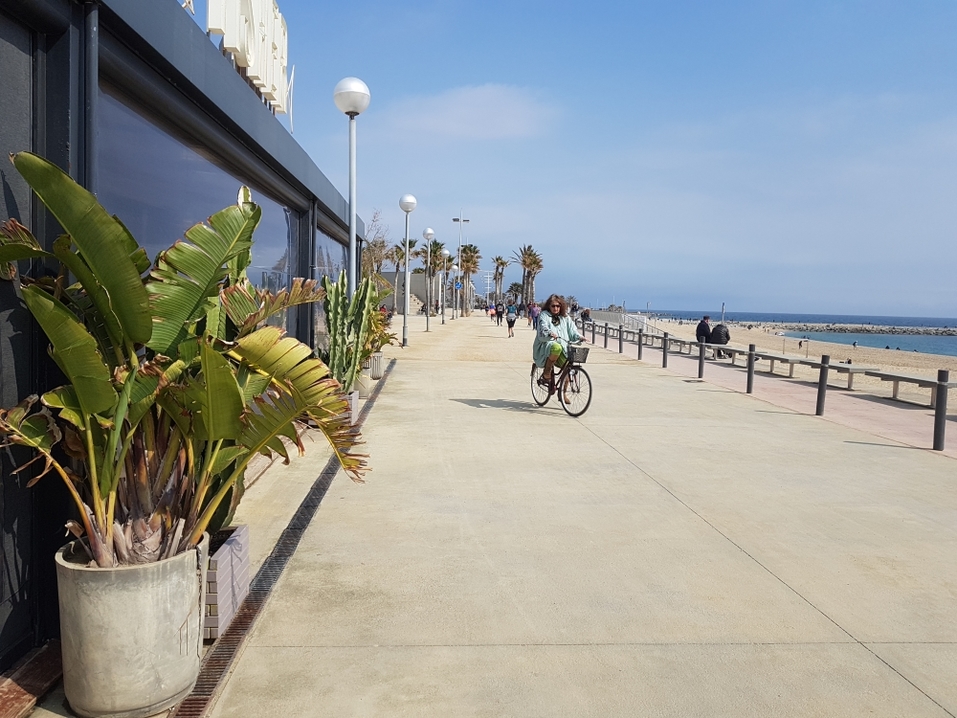 «Напоминает зомби-апокалипсис. А ведь еще четыре дня назад все шутили и постили мемы» 17 «Напоминает зомби-апокалипсис. А ведь еще четыре дня назад все шутили и постили мемы» 17