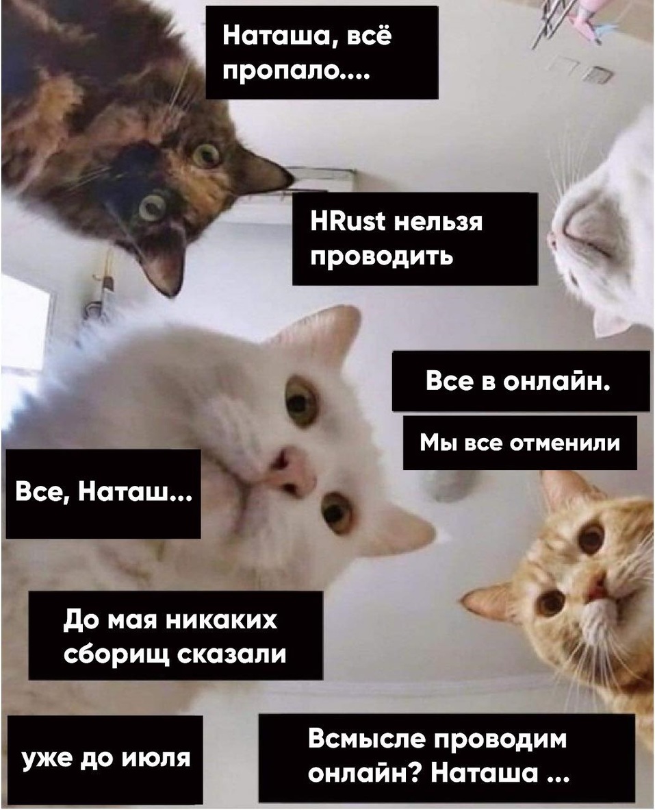 HR-специалисты приготовили инструменты для управления бизнесом в новой реальности
1 HR-специалисты приготовили инструменты для управления бизнесом в новой реальности
1