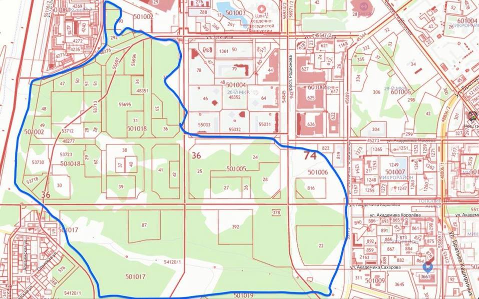 «Это лес, и его нужно сохранить» — краевед Юрий Латышев о строительстве Академии хоккея 1 «Это лес, и его нужно сохранить» — краевед Юрий Латышев о строительстве Академии хоккея 1