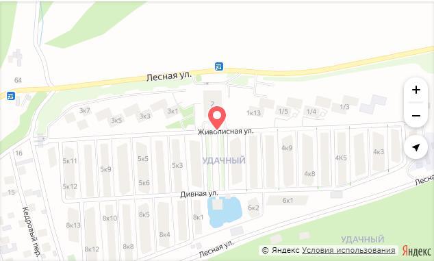 Красноярский экс-депутат Артем Бадюков готов взять таунхауз в аренду у самого себя 1 Красноярский экс-депутат Артем Бадюков готов взять таунхауз в аренду у самого себя 1