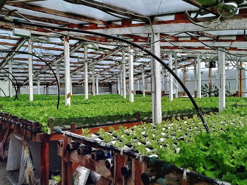 В Челябинске на продажу выставлен особняк с готовым бизнесом 1 В Челябинске на продажу выставлен особняк с готовым бизнесом 1