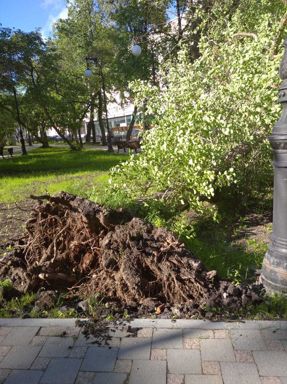 у оперного театра у оперного театра