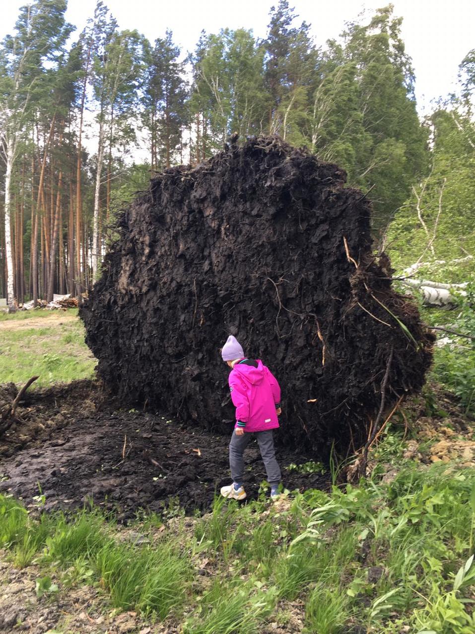 КП Заповедник КП Заповедник